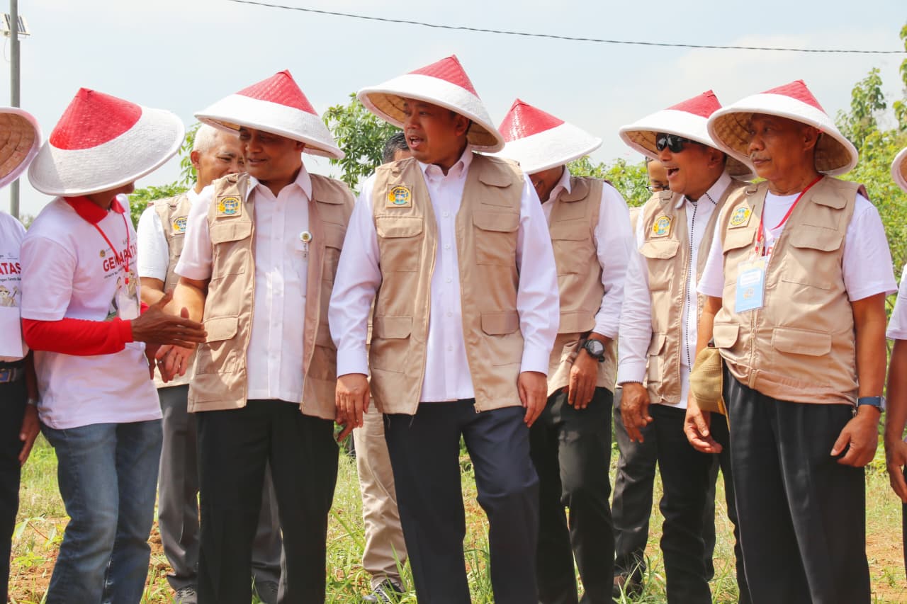 Ahmad Luthfi Ingin Jateng Tetap Ijo Royo-royo, demi Jaga Status Lumbung Pangan Nasional